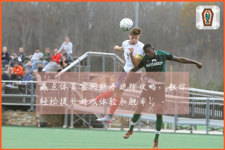 赢点体育官网新手进阶攻略，教你轻松提升游戏体验和胜率！