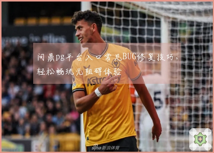 问鼎pg平台入口常见BUG修复技巧，轻松畅玩无阻碍体验