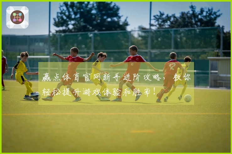 赢点体育官网新手进阶攻略，教你轻松提升游戏体验和胜率！